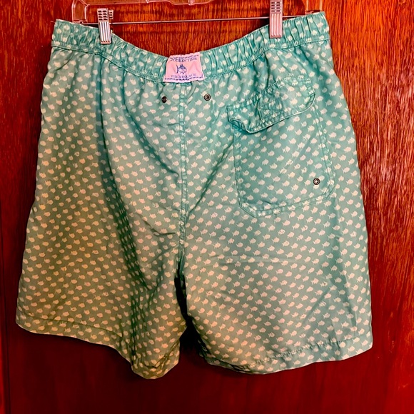 Southern Tide Men’s Light Green Medium Swimsuit - Picture 5 of 7